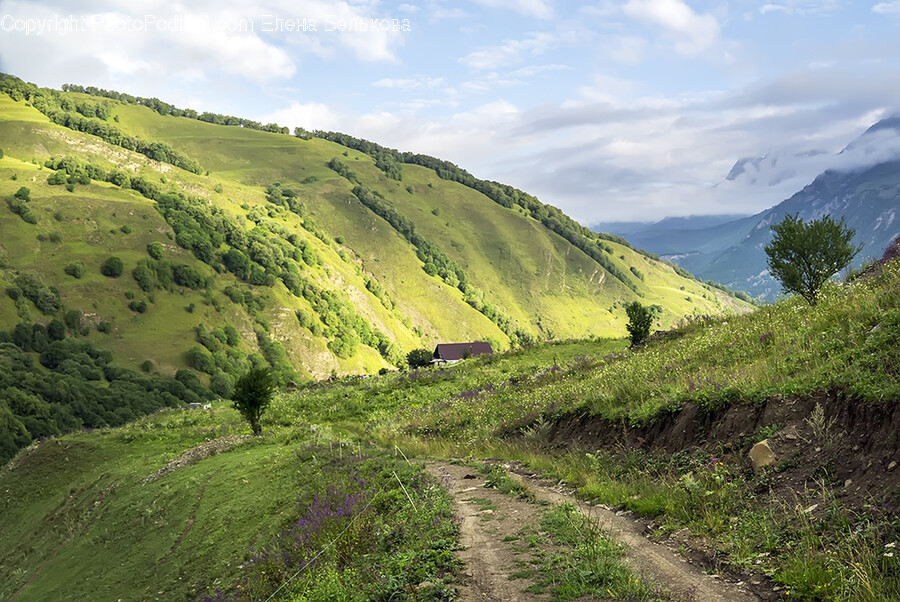 Nature, Outdoors, Hill, Countryside