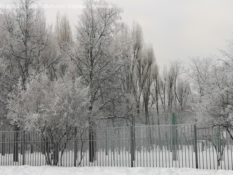 Nature, Outdoors, Snow, Ice, Winter