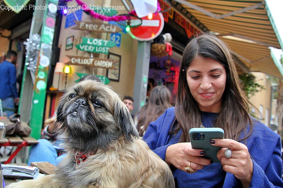 Person, Human, Dog, Animal, Mammal
