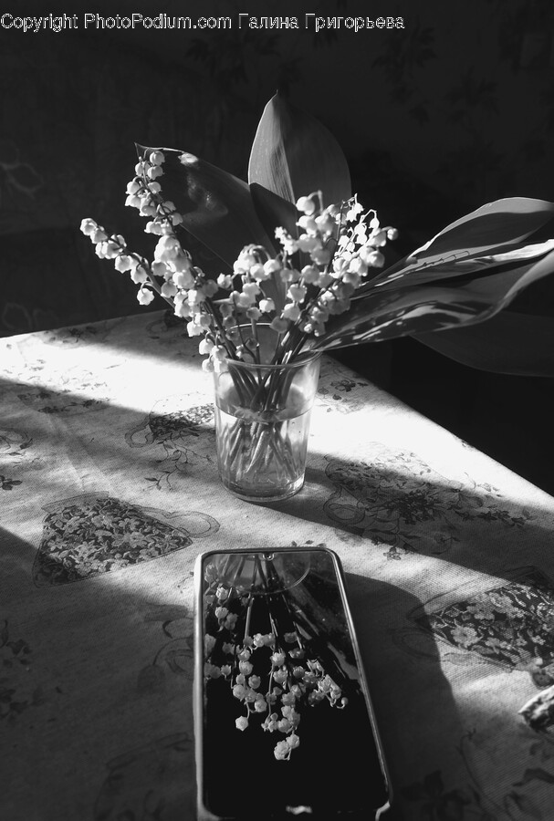 Plant, Flower, Blossom, Flower Arrangement, Flower Bouquet