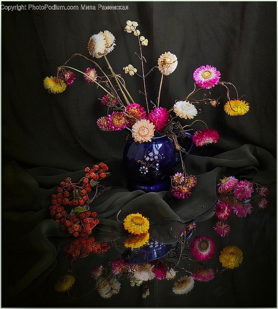 Plant, Flower, Blossom, Flower Arrangement, Art