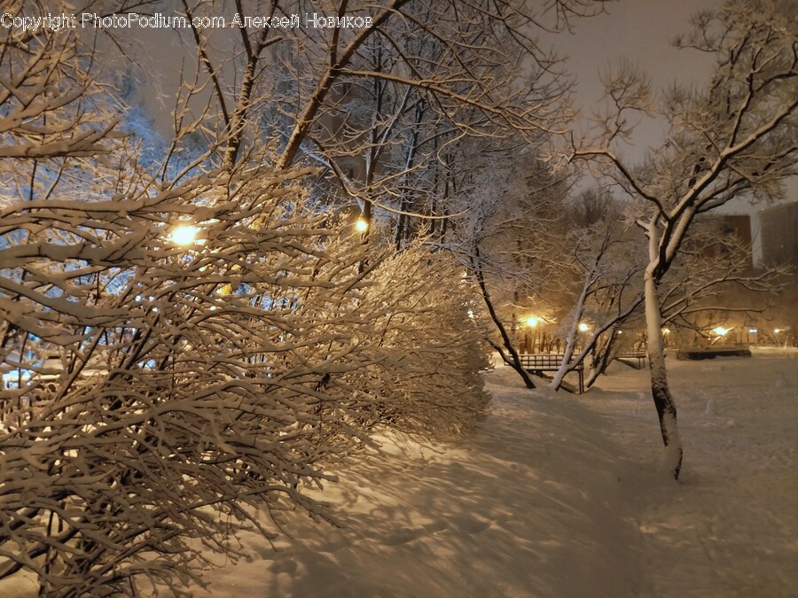 Blizzard, Nature, Outdoors, Snow, Storm