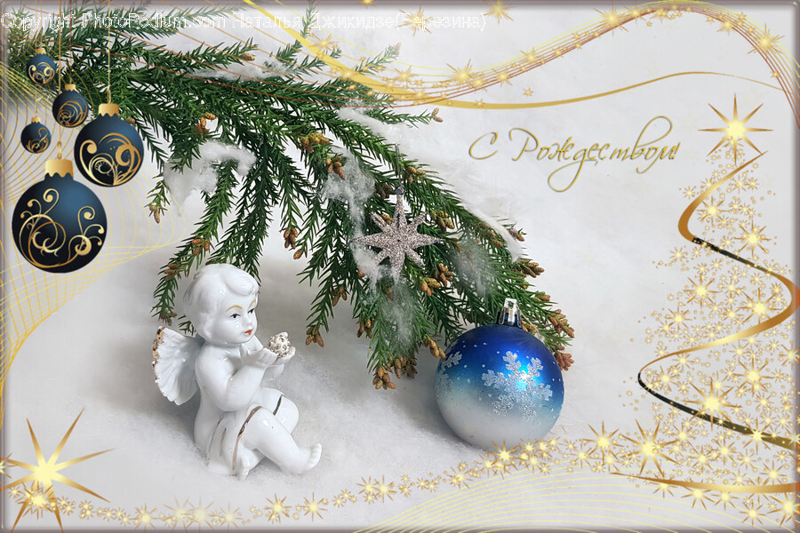 Tree, Plant, Ornament, Fir, Abies