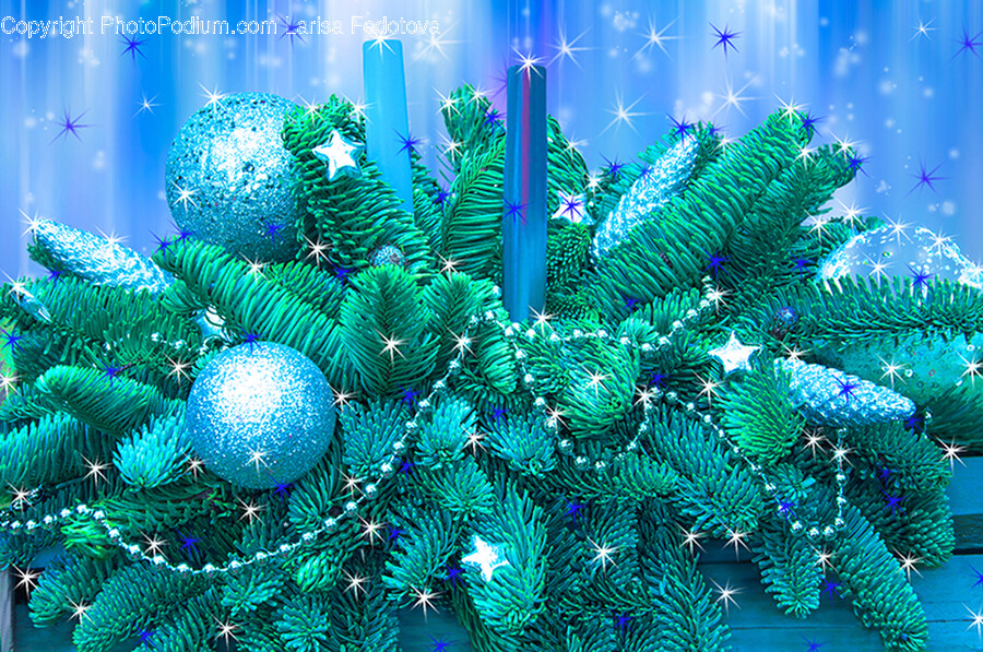 Tree, Plant, Lighting, Ornament, Purple