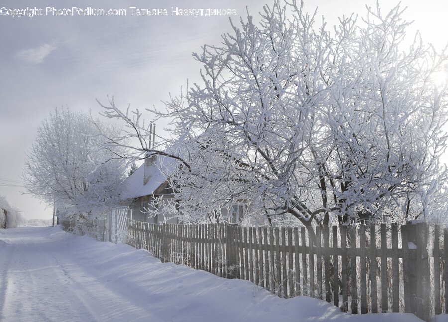 Nature, Outdoors, Blizzard, Snow, Storm