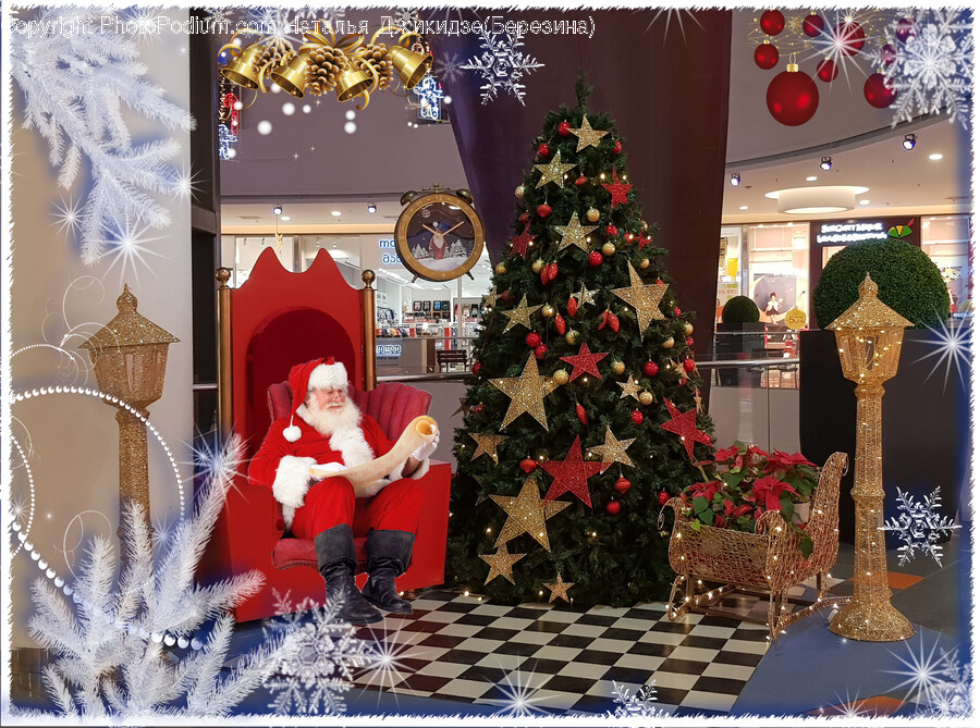 Person, Human, Tree, Plant, Christmas Tree