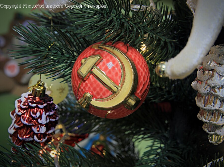 Tree, Plant, Ornament, Pine, Christmas Tree