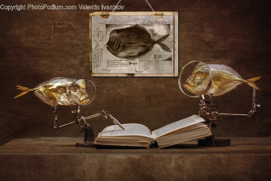 Insect, Animal, Invertebrate, Furniture, Table