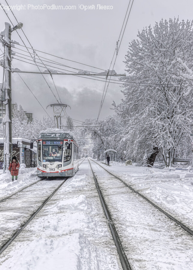 Person, Human, Train, Transportation, Vehicle