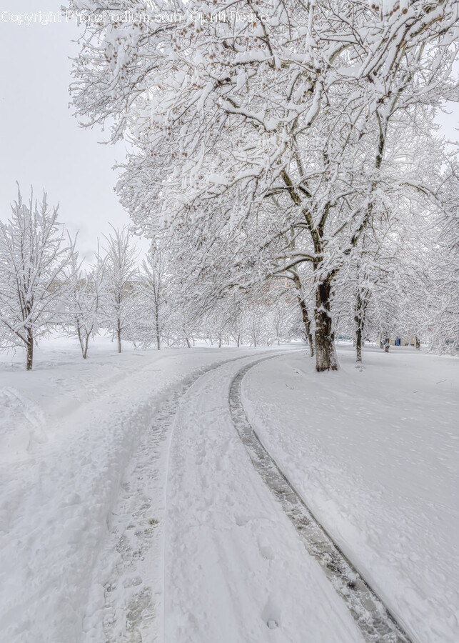Nature, Blizzard, Outdoors, Snow, Winter