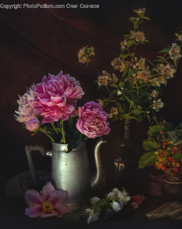 Plant, Flower, Blossom, Geranium, Flower Arrangement
