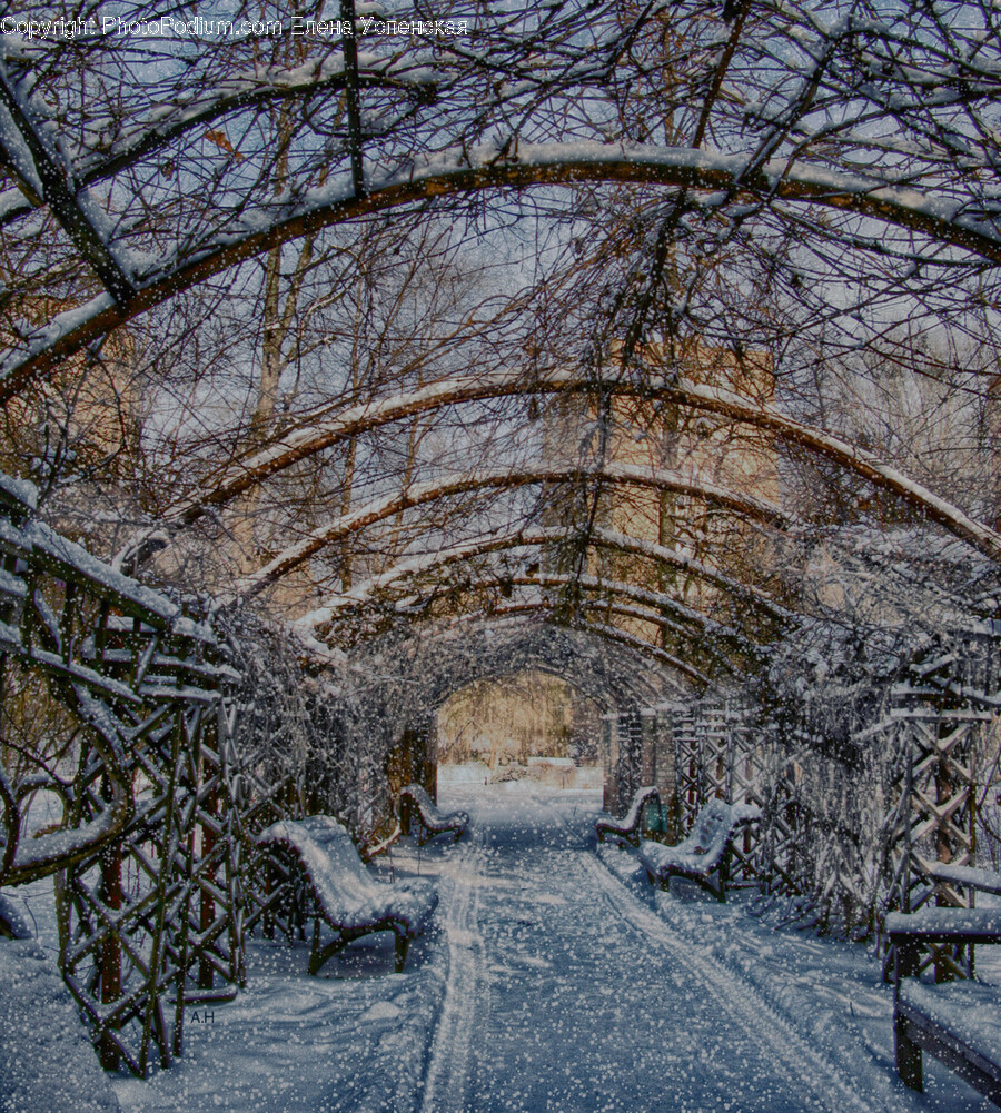Nature, Outdoors, Snow, Ice, Winter