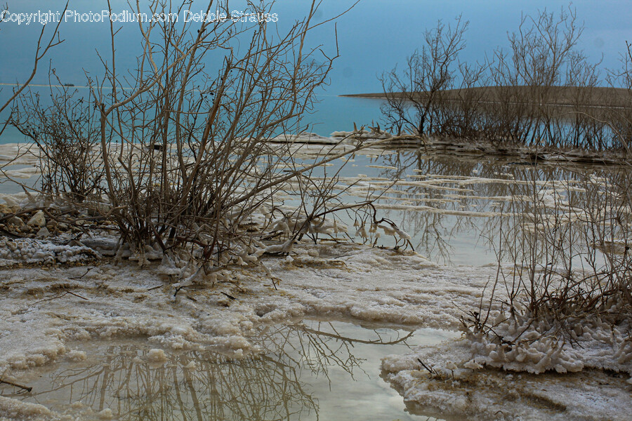 Nature, Land, Outdoors, Water, Flood