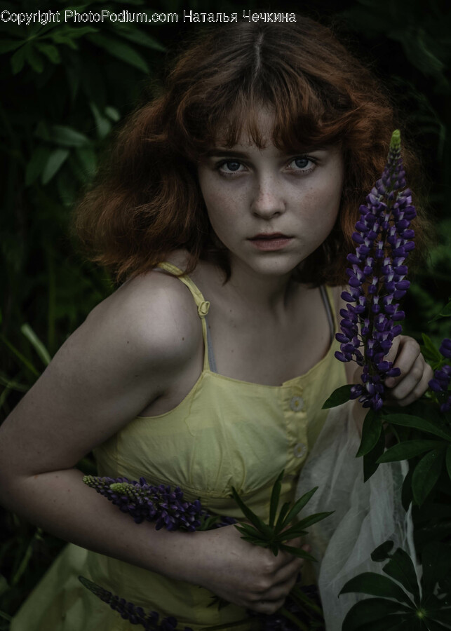 Plant, Person, Human, Flower, Blossom
