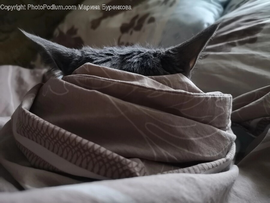 Furniture, Couch, Cushion, Pillow, Blanket