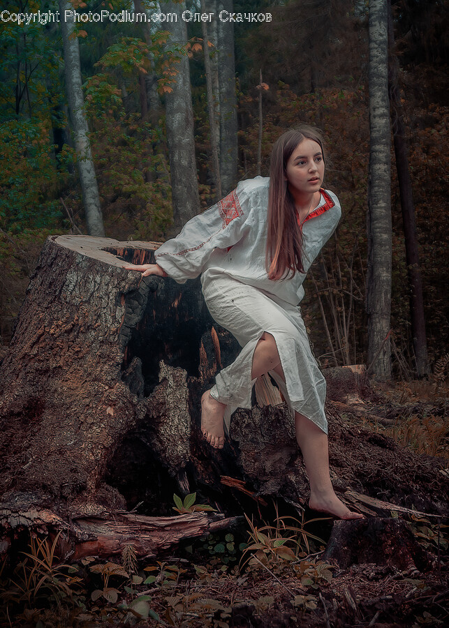 Tree, Plant, Clothing, Apparel, Person