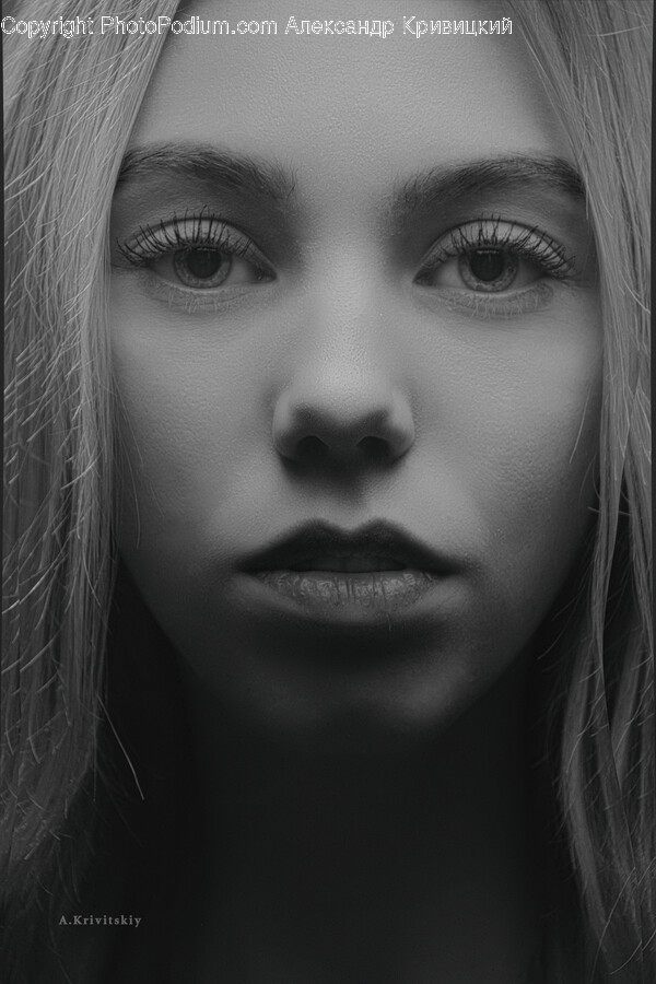 Face, Person, Human, Head, Portrait