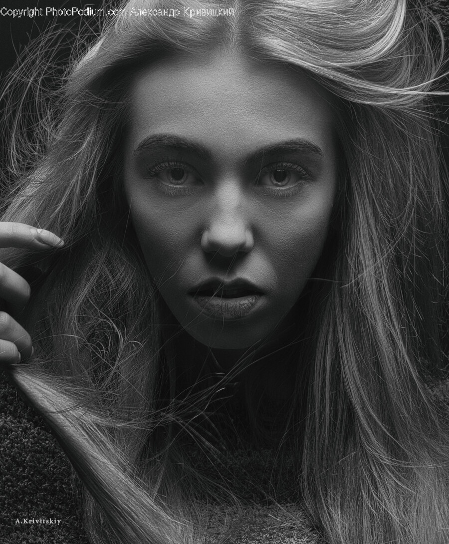 Face, Person, Human, Head, Portrait