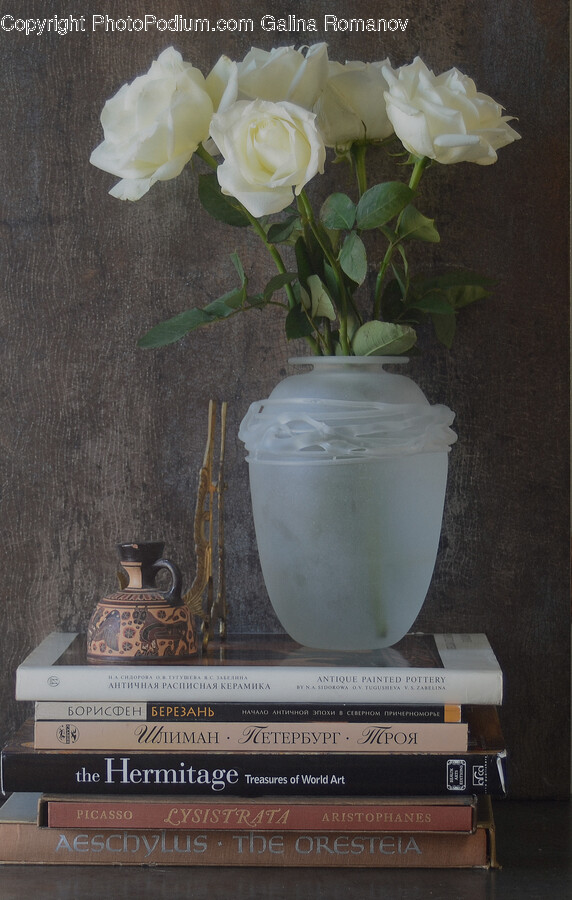 Milk, Beverage, Drink, Plant, Book