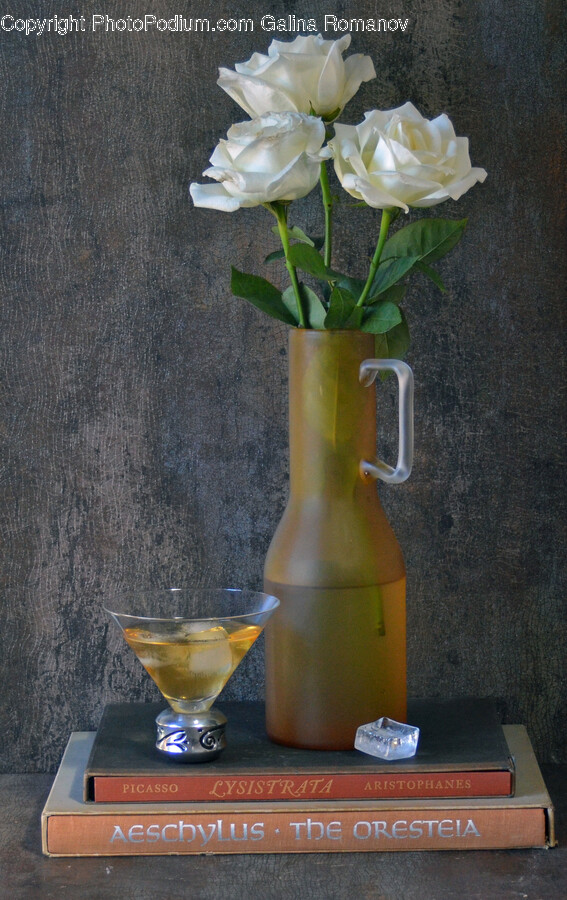 Plant, Cocktail, Beverage, Alcohol, Drink