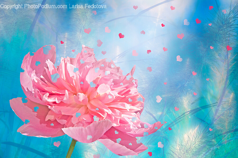 Plant, Paper, Confetti, Petal, Flower