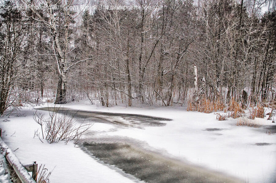 Blizzard, Nature, Outdoors, Snow, Storm