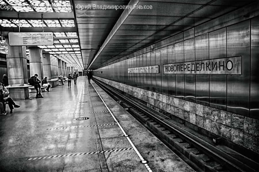Train Station, Terminal, Train, Vehicle, Transportation