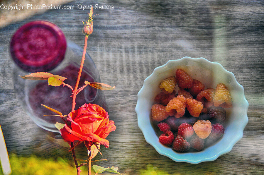 Plant, Sweets, Confectionery, Food, Fruit