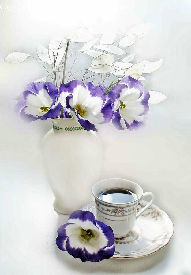 Plant, Saucer, Pottery, Flower, Blossom