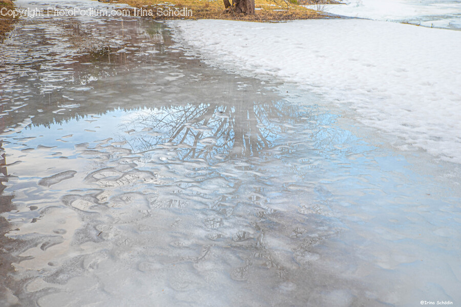 Puddle, Outdoors, Plant, Nature