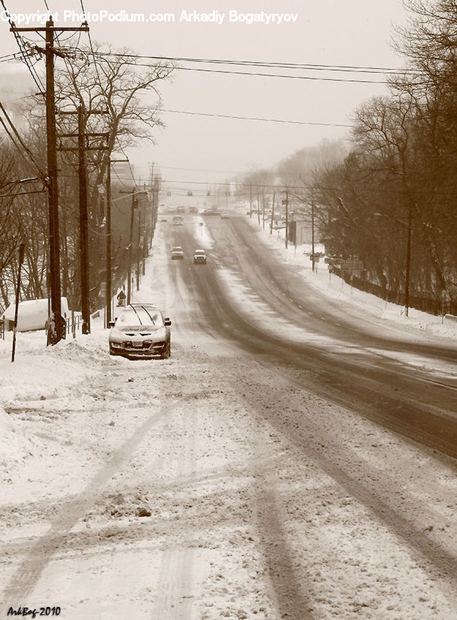 Dirt Road, Gravel, Road, Ice, Outdoors, Snow, Plant