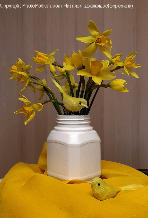 Plant, Flower, Blossom, Flower Arrangement, Jar
