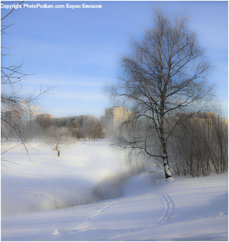 Landscape, Nature, Scenery, Blizzard, Outdoors, Snow, Weather
