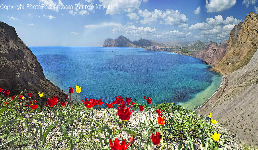 Land, Nature, Outdoors, Sea, Ocean