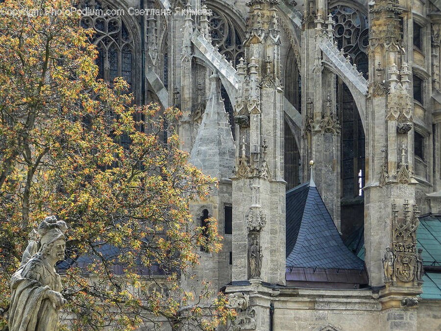Architecture, Building, Spire, Steeple, Tower