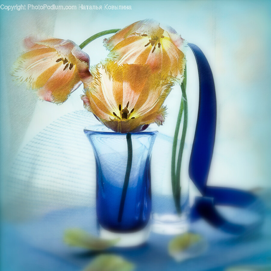 Plant, Flower, Blossom, Flower Arrangement, Pollen