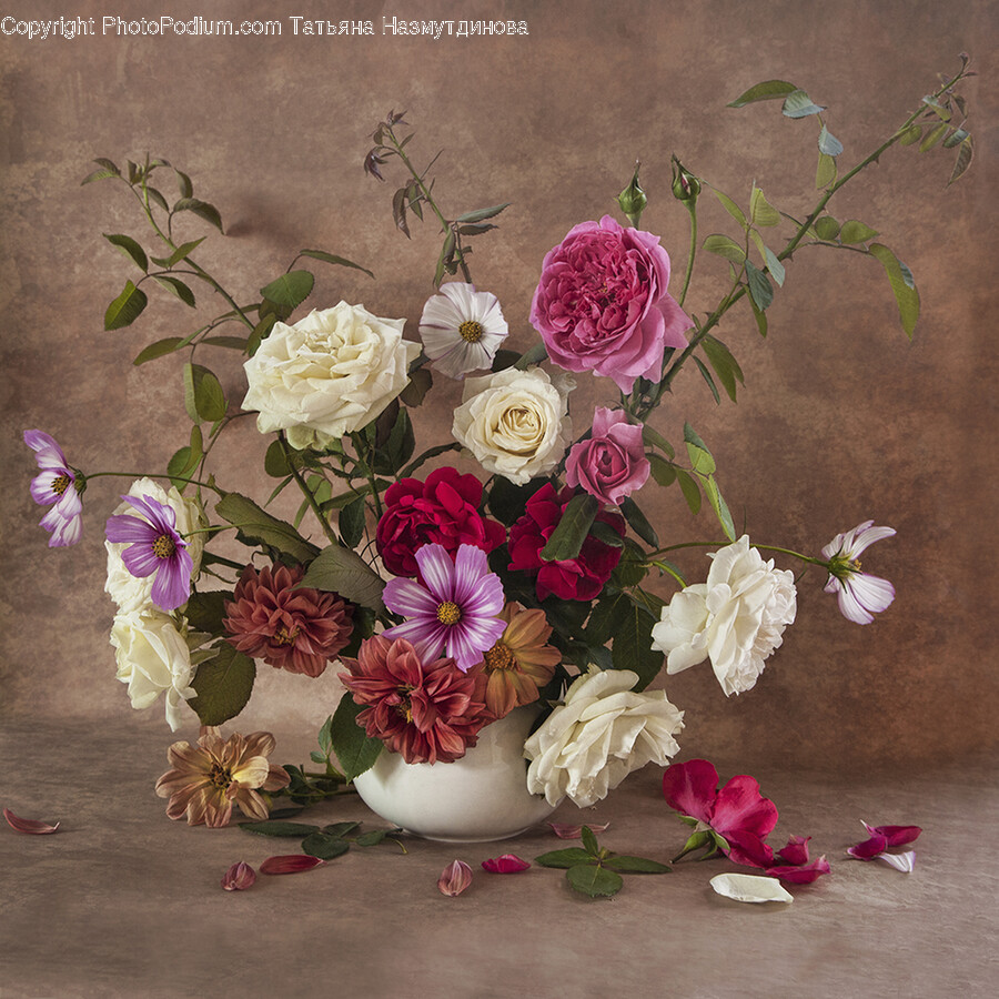 Floral Design, Graphics, Art, Pattern, Plant