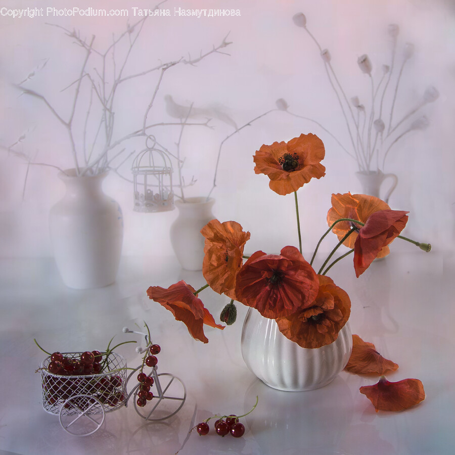Leaf, Plant, Pottery, Jar, Flower