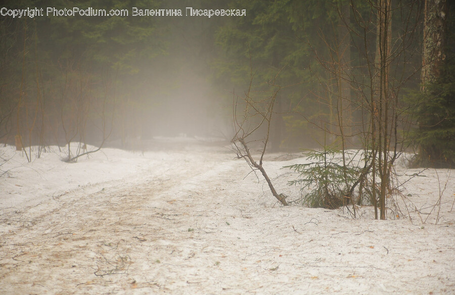 Nature, Outdoors, Weather, Fog, Snow
