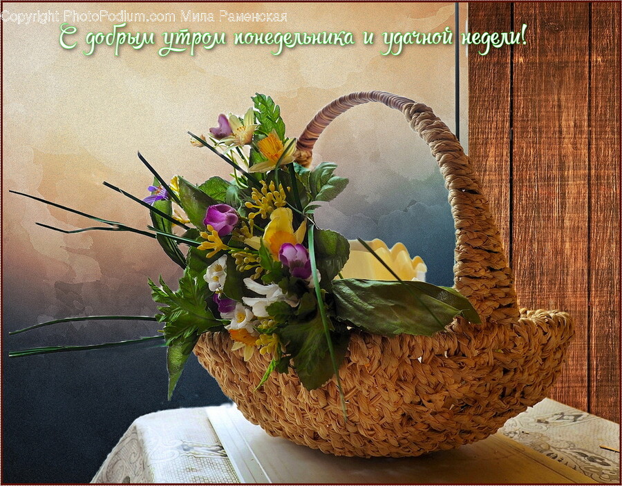 Plant, Flower Arrangement, Flower, Blossom, Flower Bouquet