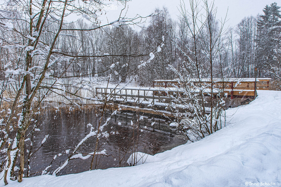 Nature, Outdoors, Snow, Weather, Blizzard
