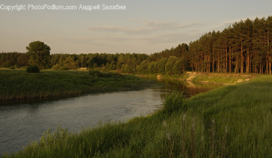 Water, Nature, Land, Outdoors, Pond