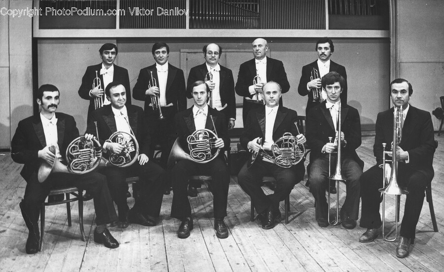 Horn, Musical Instrument, Brass Section, Person, Human