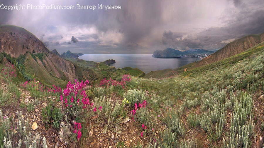 Nature, Outdoors, Plateau, Slope, Plant