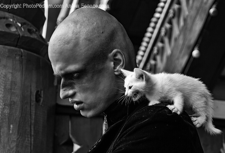 Person, Human, Cat, Pet, Mammal