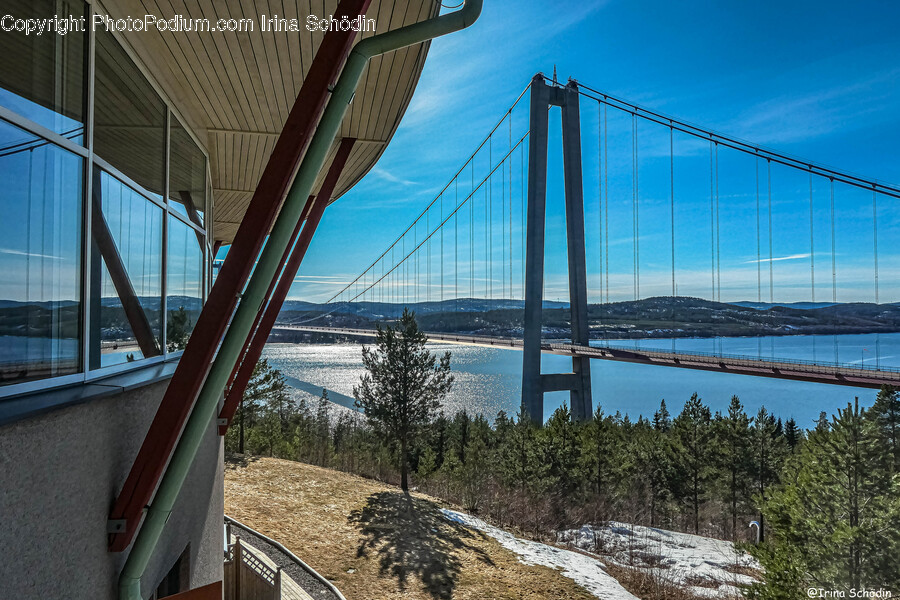 Bridge, Building, Suspension Bridge, Road, Metropolis