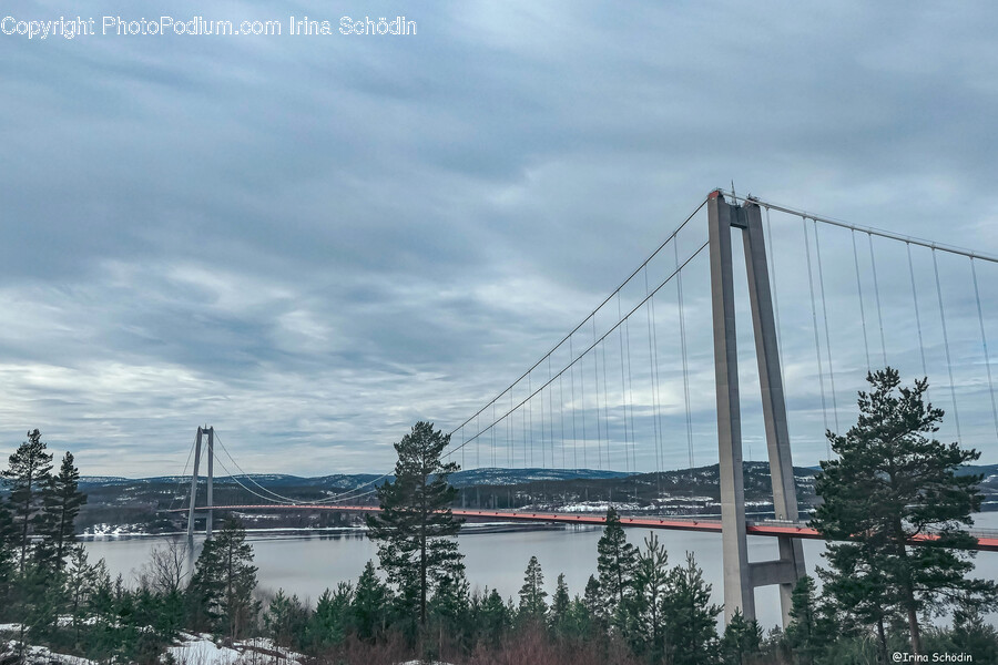 Building, Bridge, Suspension Bridge, Metropolis, City
