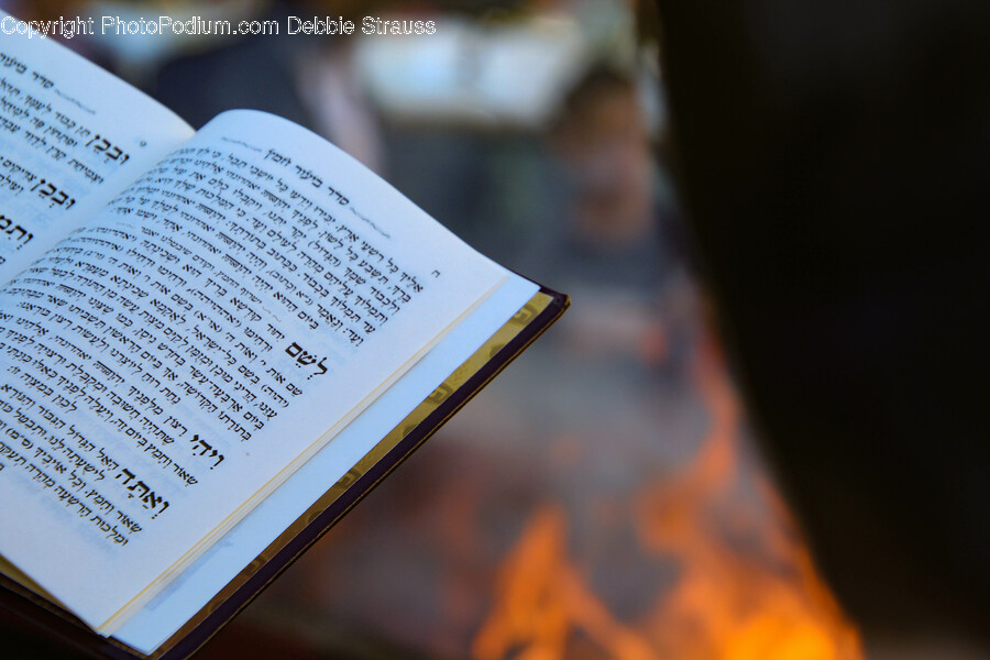 Book, Text, Person, Human, Page
