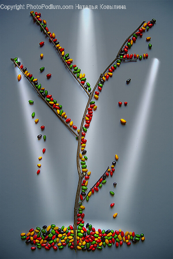 Necklace, Accessories, Jewelry, Accessory, Bead