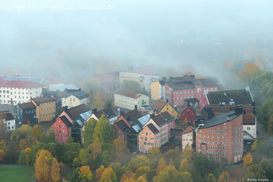 Nature, Roof, Urban, Fog, Weather